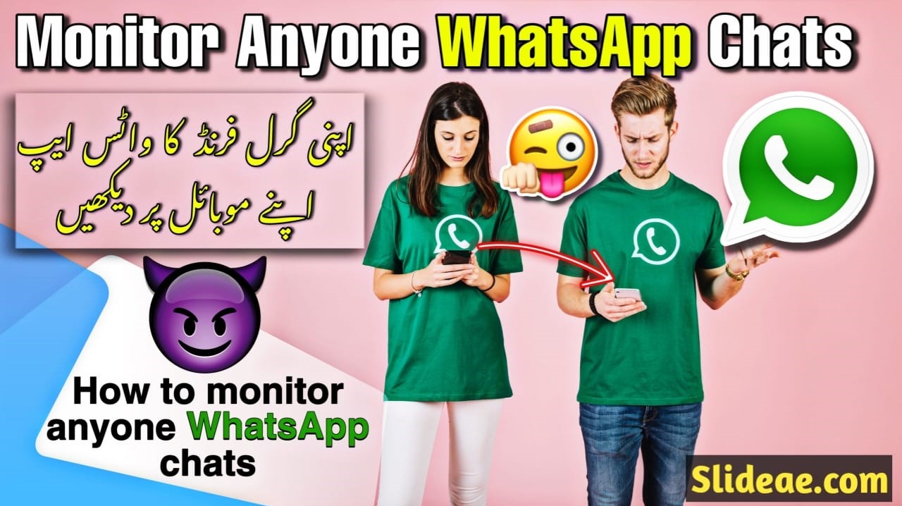 how to check WhatsApp history